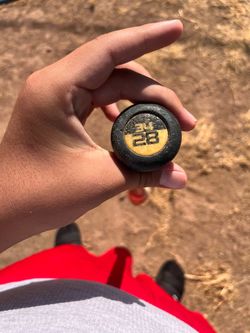 Softball bat