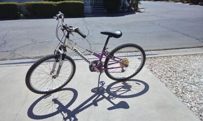 M20 Mountain Sport Bike WXXS 12 Inch