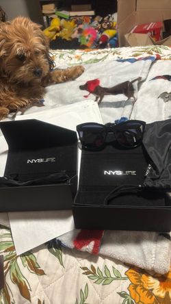 Sun glasses