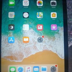 Apple Ipad 11" 
