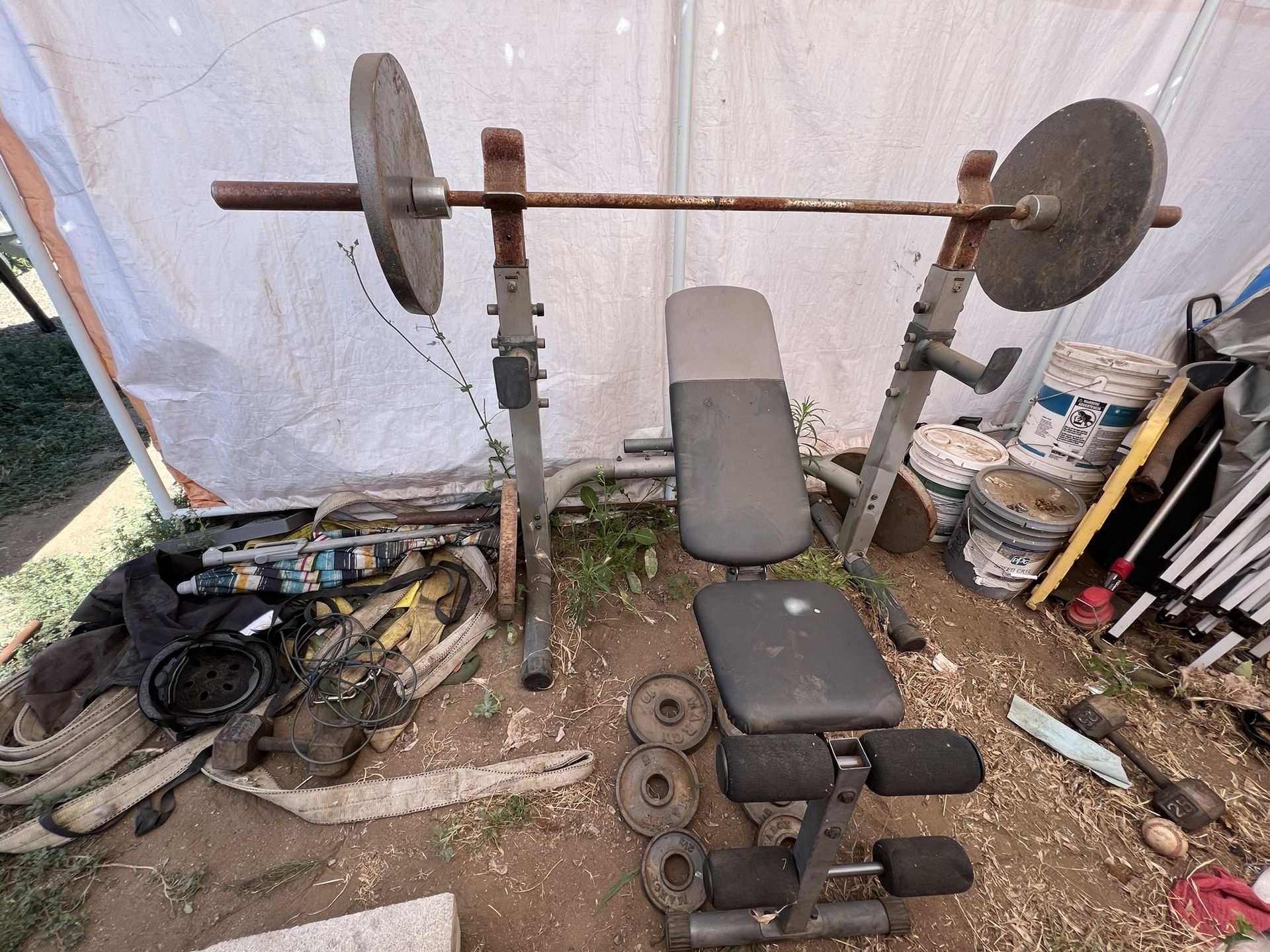 Bench Press & Weights