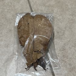 Large Catappa Leaves For Fish