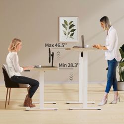 Electric Standing Desk, Whole Piece 48 X 24 Inches Adjustable Height Desk, Modern Sit Stand Up Desk with Memory Controller, Ergonomic Rising Desk for 