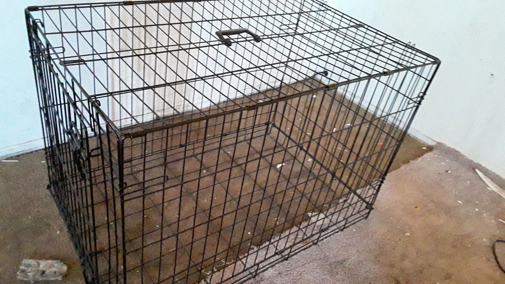 large dog kennel