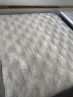 King size eastern euro king koil intimate medium euro top pillow Serta Sealy Stearns & foster Aireloom Kluft hotel collection purple restore avocado s