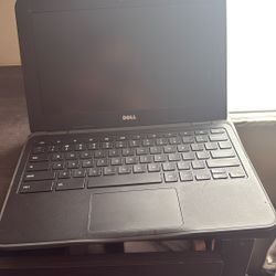 Chrome Dell Laptop