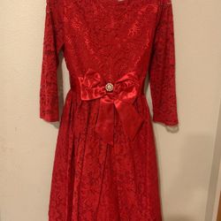 Holiday Christmas Dress Size 14 Runs Small Fits Girl Size 8-10