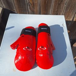 Karate Gloves