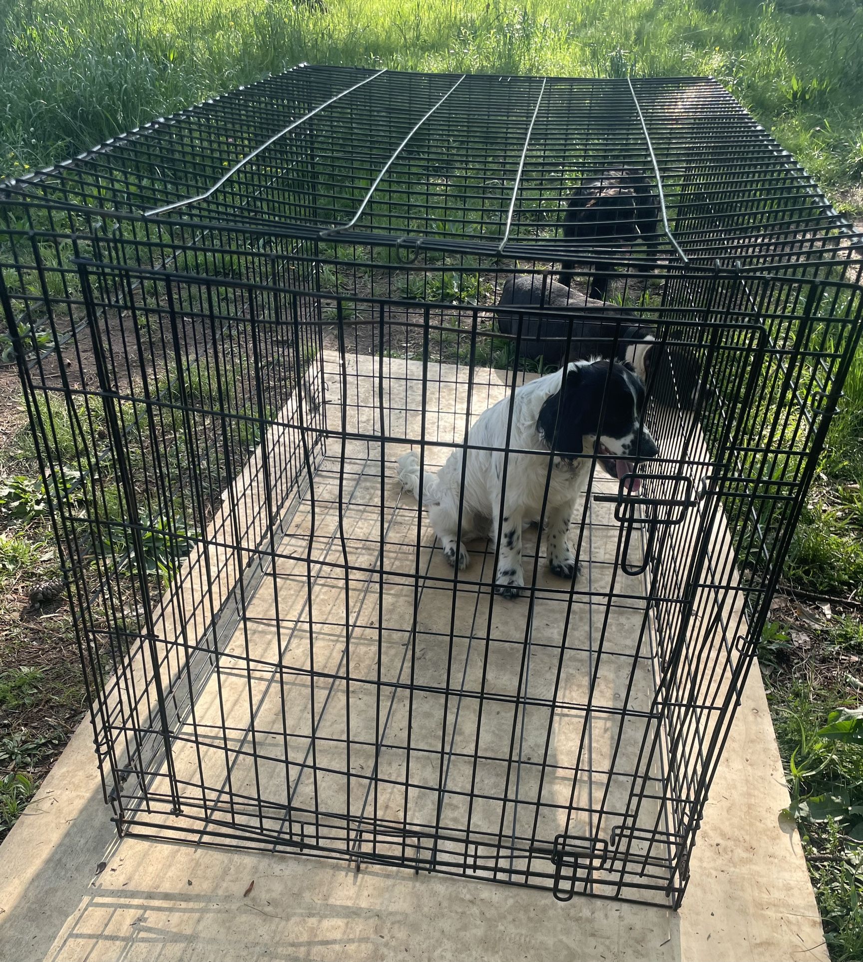 XL Dog Crate
