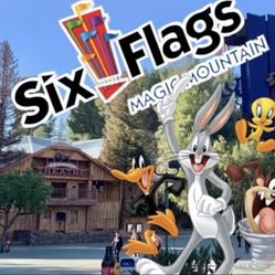 Six Flags Magic Mountain