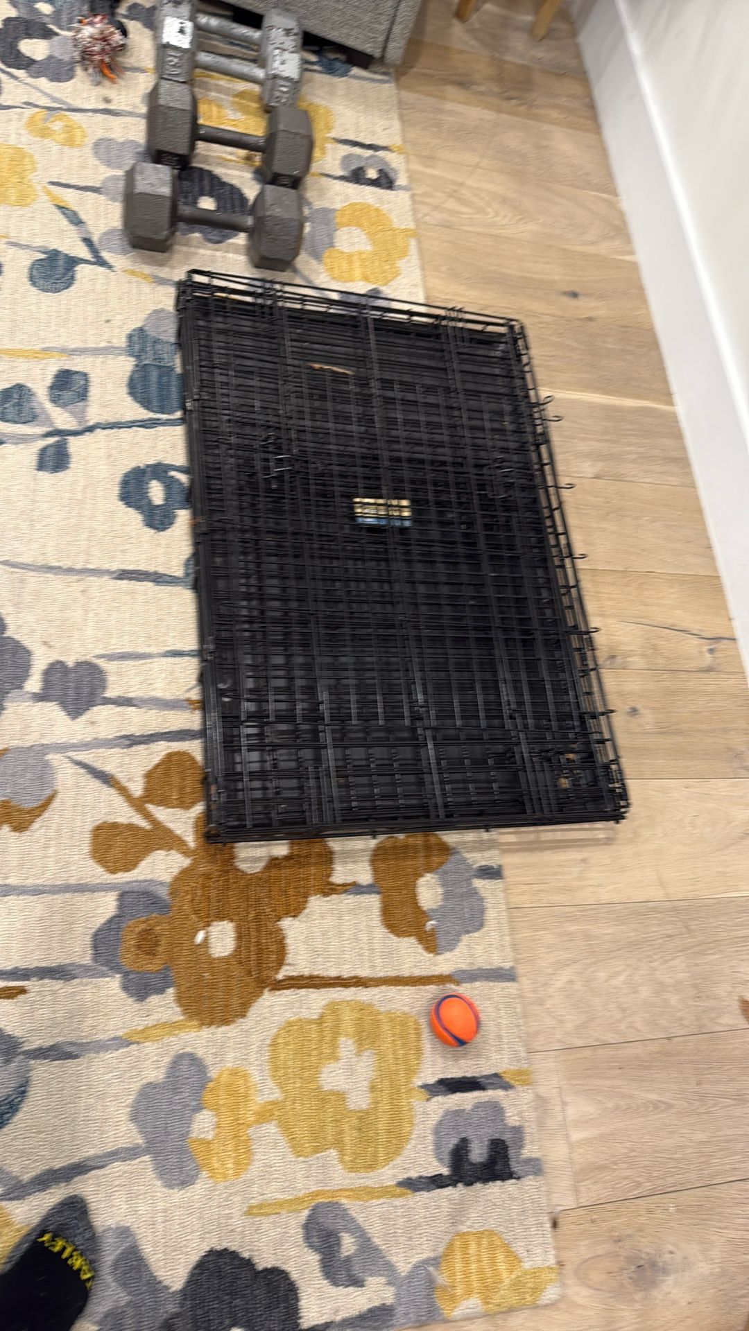 Dog Crate For Sale