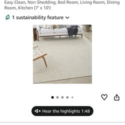 New Outdoor/Indoor Rug 7 x 10