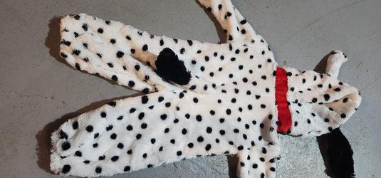 12m Dalmation