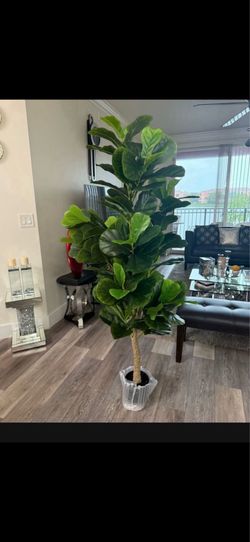 Pretty artificial plant 6 ft tall fig tree! Brand New
