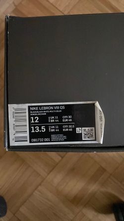 Lebron 8 “Space Jam”