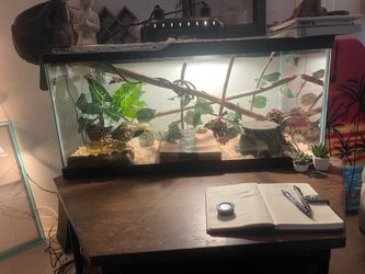 Everything you need for a snake