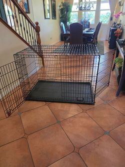 Large dog crate