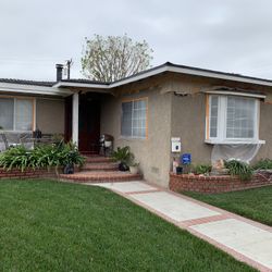 Interior And Exterior Painting