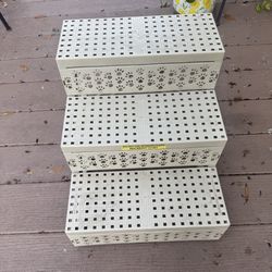 Pet Steps With Paw Prints