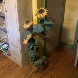 Sunflowers In Wooden Bucket 