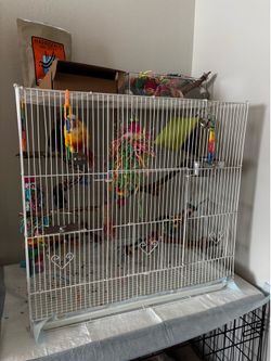 Bird cage