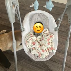 Graco Baby Swing 