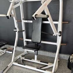 Chest Press