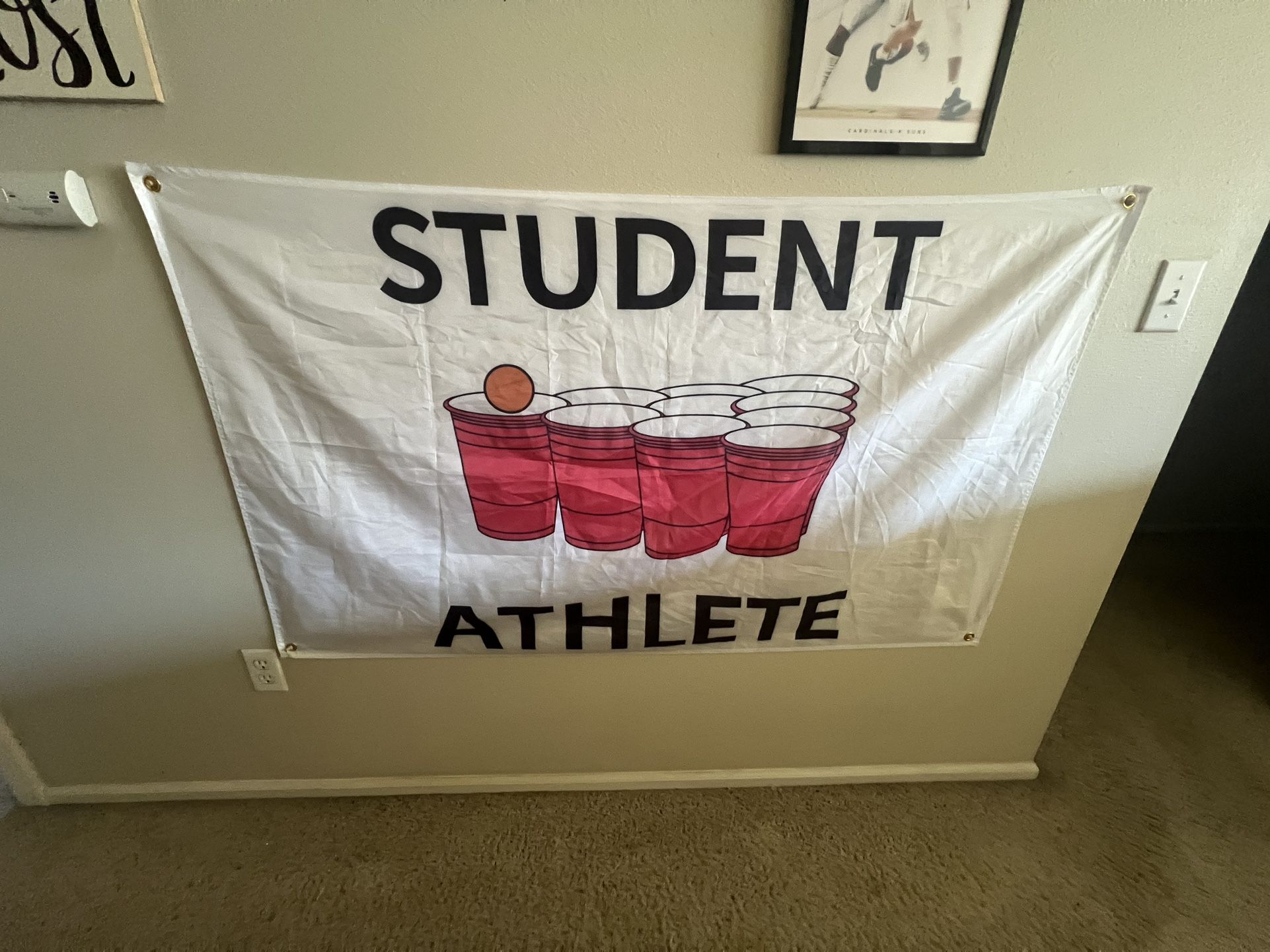 Student Athlete Poster