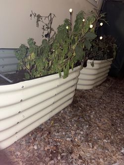 2 Garden Beds