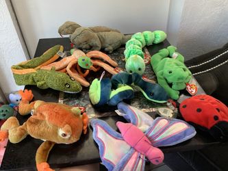Beanie babies collection