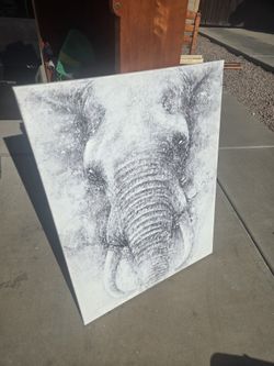 Elephant Canvas 