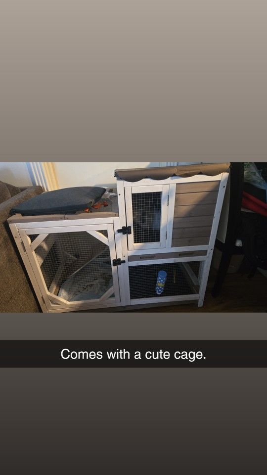 Cute Bunny Cage