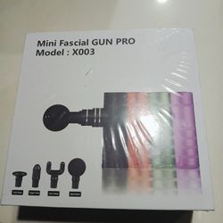 Mini Facial Gun Pro
