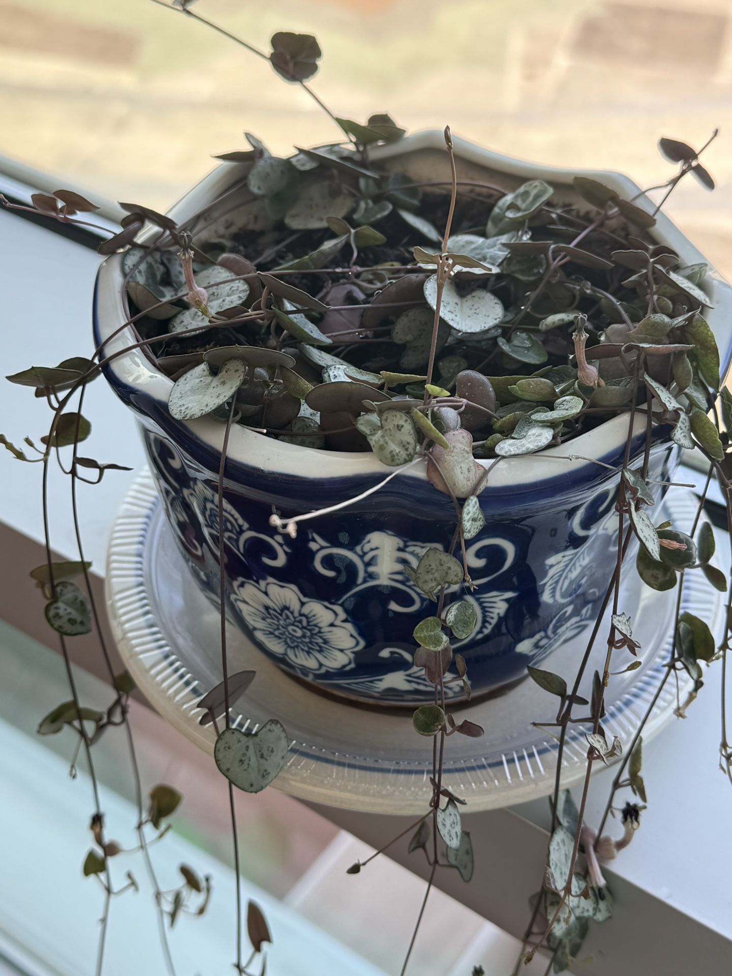 String Of Hearts
