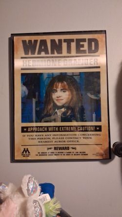 Harry Potter Wanted Poster