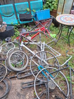 Bikes bikes and more bikes