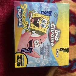 SpongeBob Hobby Box 25th Anniversary