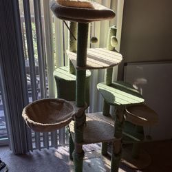 big cat tree pick up only