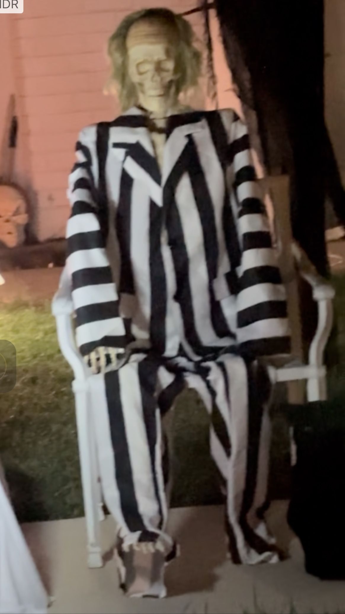 Beetlejuice Halloween costume Size Large