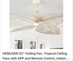 Tropical Fan