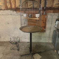 Bird Cage 