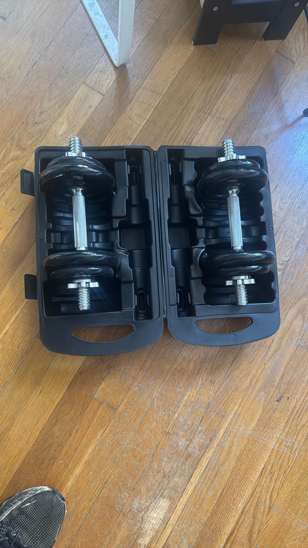 Fitness Gear 30 LB Adjustable Dumbbell Set With A Box