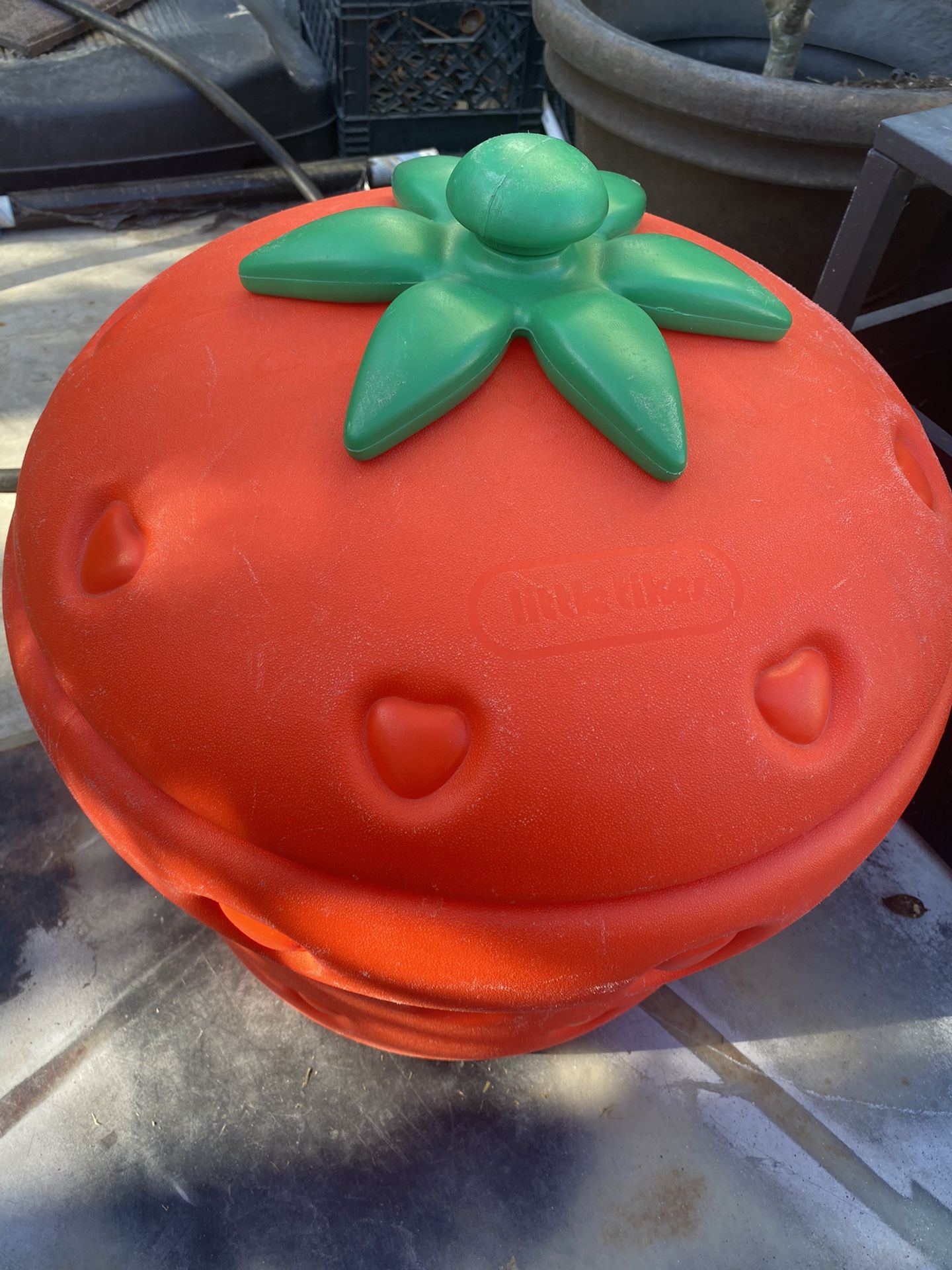 Little tikes online strawberry toy box