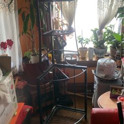Corner Shelf 3 Tier Plant Stand 