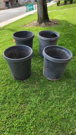 Plant Pots