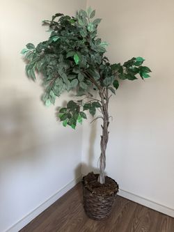 Faux Artificial Plant