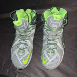 Nike Lebron Sneakers Size 14 Us 