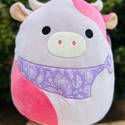 reshma squishmallow 14”