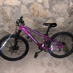 Schwinn Mountain Bike 