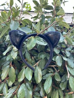 Black Kitty Cat Ears
